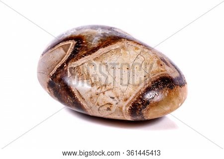 Macro Mineral Stone Simbirzit And Septaria On White Background