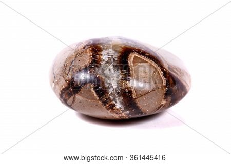 Macro Mineral Stone Simbirzit And Septaria On White Background