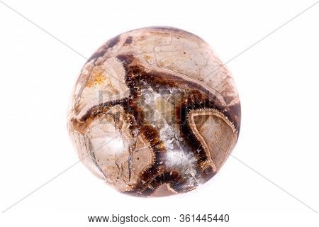Macro Mineral Stone Simbirzit And Septaria On White Background