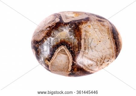 Macro Mineral Stone Simbirzit And Septaria On White Background