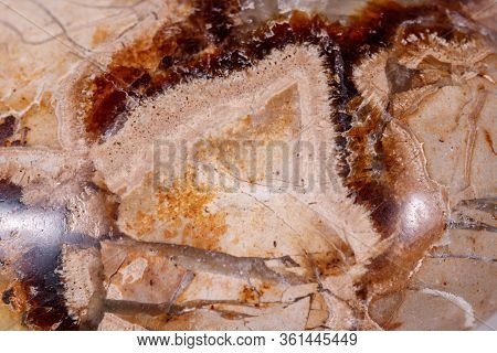 Macro Mineral Stone Simbirzit And Septaria On White Background