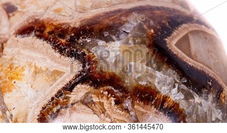 Macro Mineral Stone Simbirzit And Septaria On White Background