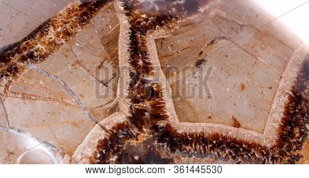 Macro Mineral Stone Simbirzit And Septaria On White Background