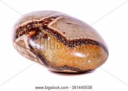 Macro Mineral Stone Simbirzit And Septaria On White Background