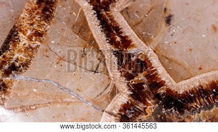 Macro Mineral Stone Simbirzit And Septaria On White Background