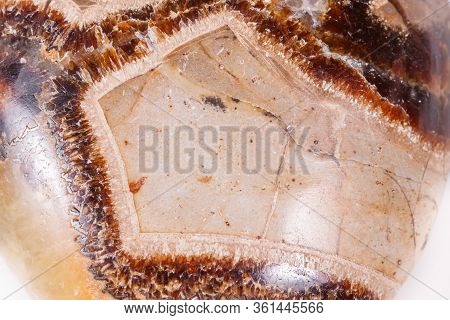 Macro Mineral Stone Simbirzit And Septaria On White Background