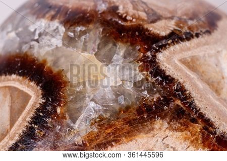 Macro Mineral Stone Simbirzit And Septaria On White Background
