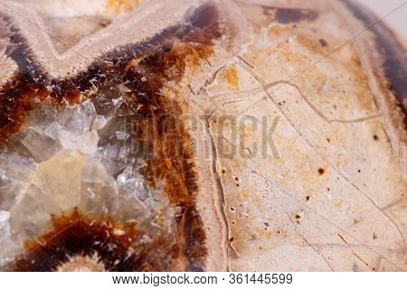 Macro Mineral Stone Simbirzit And Septaria On White Background
