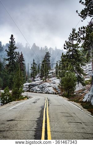 Road Curve On The Way To Sequoia National Park