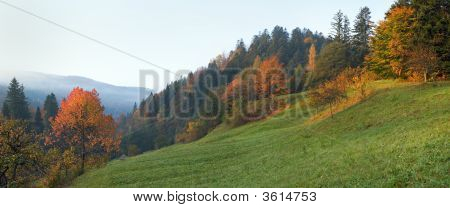 Herbstmorgen
