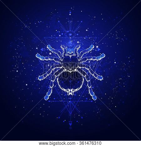 Vector Illustration With Hand Drawn Spider Tarantula And Sacred Geometric Symbol Against The Starry 