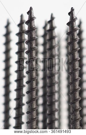 A Lot Of Black Long Self-tapping Screws Stand Upright On A White Background. Close-up. Hardware, Iro