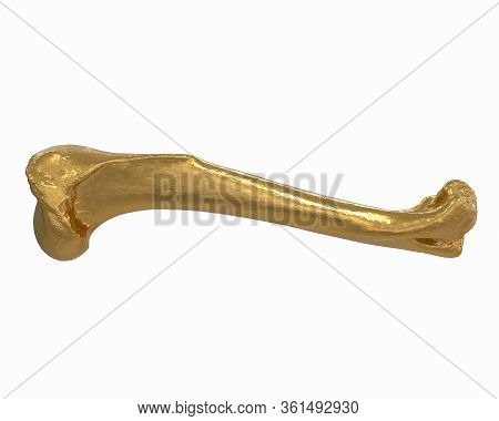 3d Render Of Gold Animal Leg Bone Isolated On White