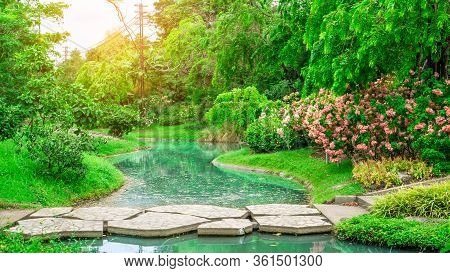 Fresh Geenery Trees And Colorful Flower Plant In A Good Care Maintenance Landscapes, Decorated With 