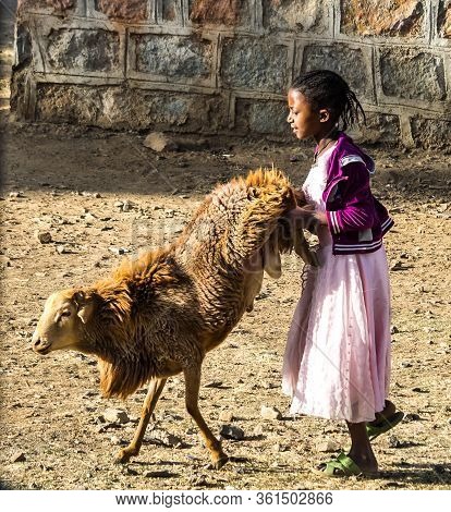 Aksum, Ethiopia - Feb 09, 2020: Animal Market In Aksum, Ethiopia, Where Local People Are Trying To S