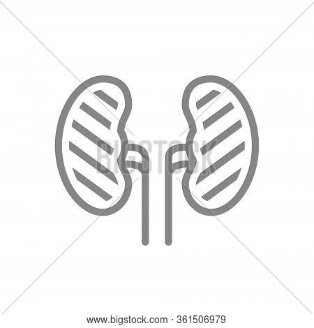 Sore Human Kidneys Line Icon. Renal Cysts, Kidney Stones, Ureteral Stone Symbol