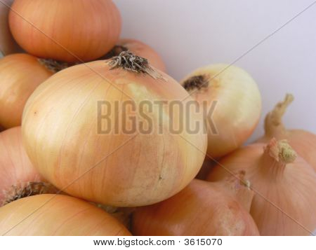 Yellow Onions