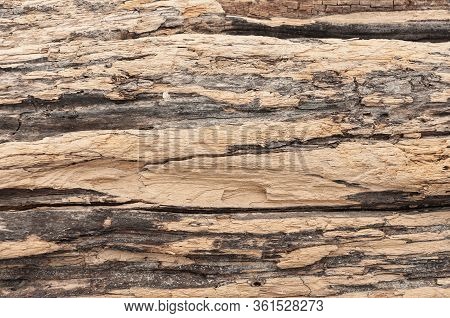 Wood Texture. Wood Surface. Texture Of The Old Wood Close-up.