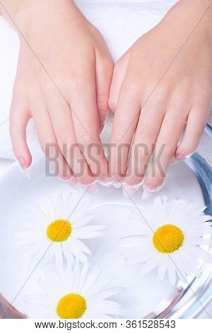 Close-up Hands Of Young Woman With Natural Nails, Lowered Into Plate With Healing Infusion Of Chamom