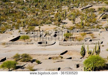 Historic Quilmes Ruins - Tucuman - Argentina