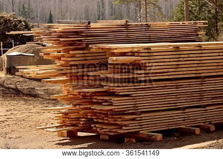 Piles Of Timber In The Sunny Springlike Light