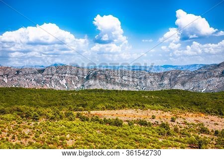 Aleppo Pine Tree (pinus Halepensis) Forest And Mountain Range Landscape  Taken From Mount Srd On A S