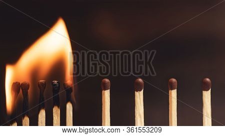 Preventing The Spread Of Viruses, Infectious Diseases Or Fire. Safe Distance, Stopping The Domino Ef