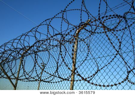 Barbwire