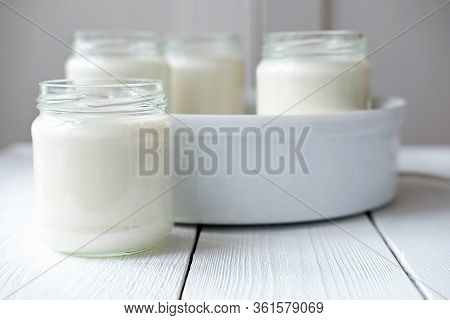 Homemade Organic Yogurt In Glass Jars In Yogurt Maker. Automatic Yogurt Machine To Make Fermented Mi