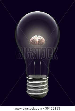 Ampul Brain yaratıcı