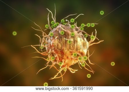 Sars-cov-2 Virus, The Causative Agent Of Covid-19, And Immune Cell, 3d Illustration. The Concept Of 