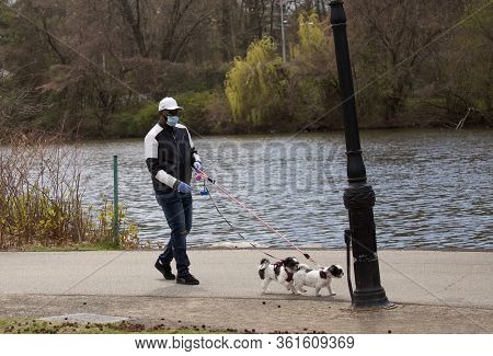 Gentleman Walking His Dogs With Facemark On. Taken In Clove Lakes Park, Staten Island, Ny, On 4/11/2