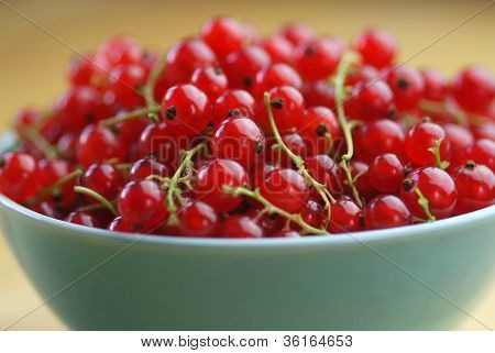 ผลไม้ currant แดงในชาม