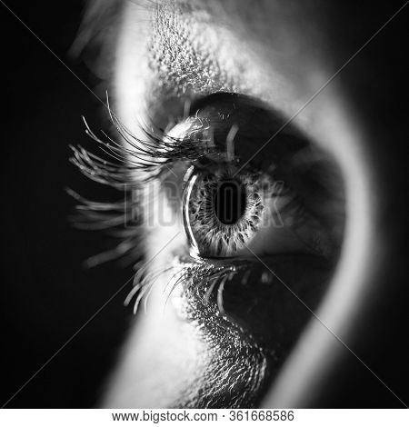 Black And White Woman Eye Close Up - Macro Detail