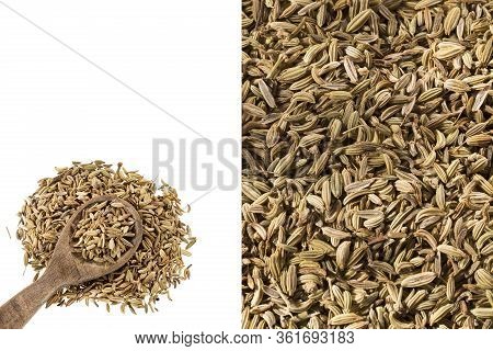 Dry Organic Fennel Seeds - Foeniculum Vulgare. Text Space