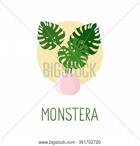 Vector Illustration Of Exotic Tropical Monstera Palm Leaves Plant In Pink Pot With Yellow Texture Ba
