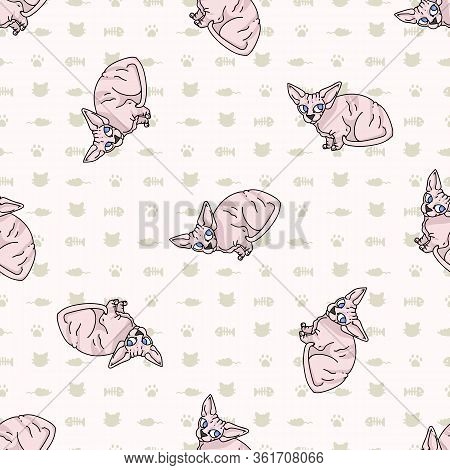 Cute Cartoon Sphynx Kitten Seamless Vector Pattern. Pedigree Exotic Kitty Breed Domestic Cat Backgro