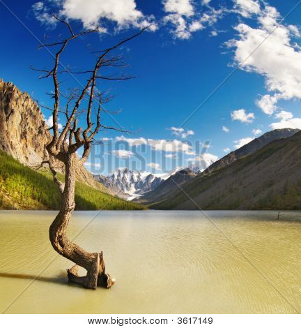 Lac de montagne