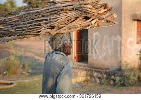 Tikamgarh, Madhya Pradesh, India - March 24, 2020: Unidentified Rural Old Age Man Carrying Firewood 