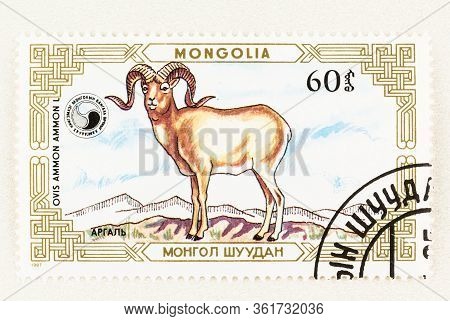 Seattle Washington - April 15, 2020: Close Up Mongolia Postage Stamp With Big Horn Sheep On Mountain