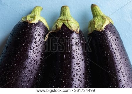 Dark Purple Eggplants Sprinkled With Water. 3 Eggplants Close-up Above View. Freshly Harvested Veget