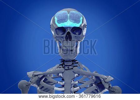 Artificial Human Skeleton Model On Blue Background. Medical Scan Of Brain