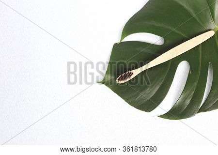 The Concept Of Zero Waste. Bamboo Toothbrush On A Manstera Leaf