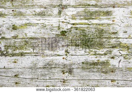 White Wood Texture