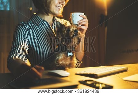 Pet With Graphic Designer Working At Night At Home Workplace On Background Monitor Computer, Isolati