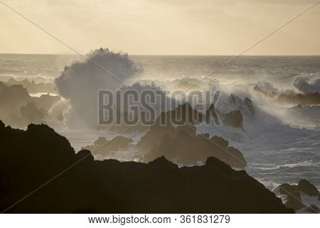 Portugal Madeira Porto Moniz Coast