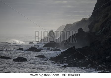 Portugal Madeira Porto Moniz Coast