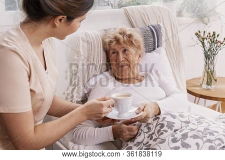Beautiful Young Nurse Serves Tea To An Elderly Lady In A Private Nursing Home