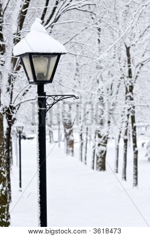 Winter Park
