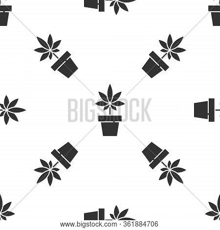 Grey Medical Marijuana Or Cannabis Plant In Pot Icon Isolated Seamless Pattern On White Background. 